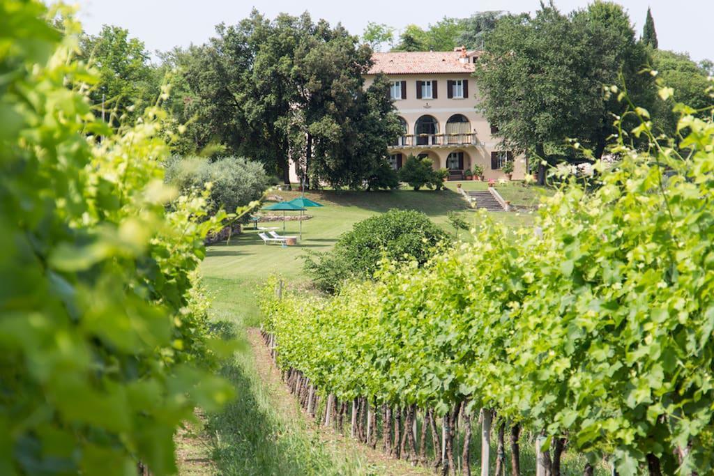 Villa Marani Rovolon Bagian luar foto